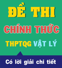 Từ năm 2010 - 2023